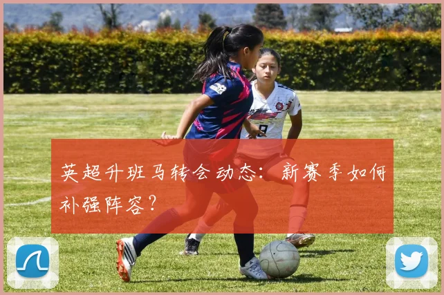 英超升班马转会动态：新赛季如何补强阵容？