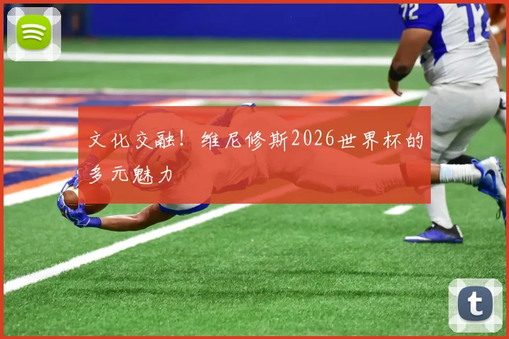 文化交融!维尼修斯2026世界杯的多元魅力