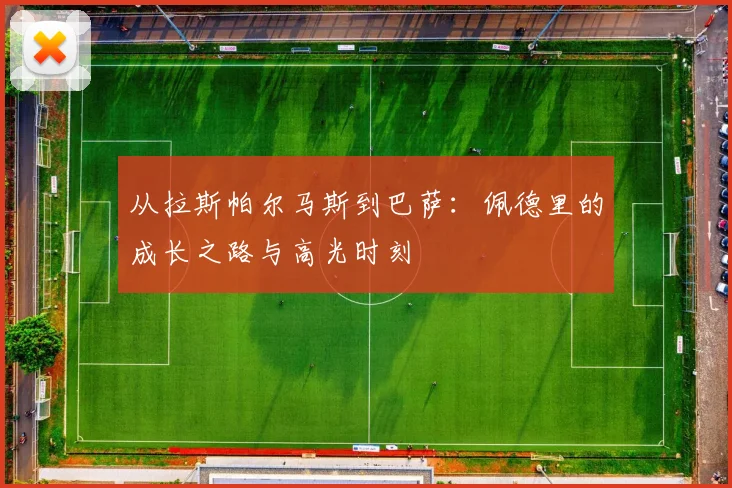 从拉斯帕尔马斯到巴萨:佩德里的成长之路与高光时刻