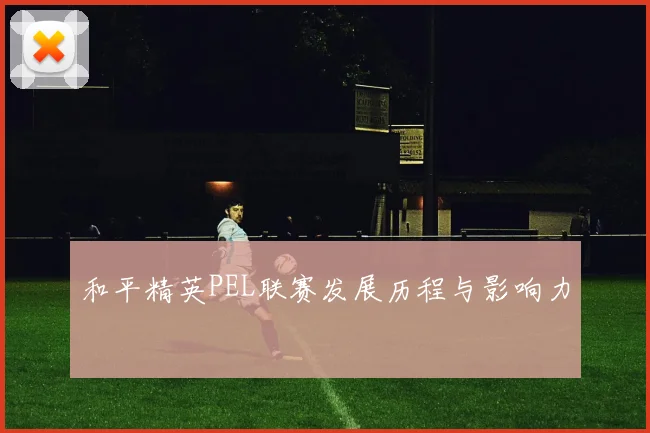 和平精英PEL联赛发展历程与影响力