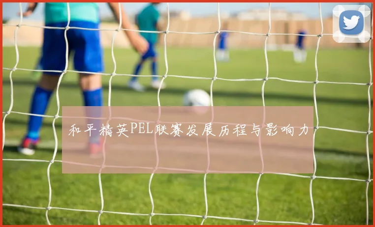 和平精英PEL联赛发展历程与影响力