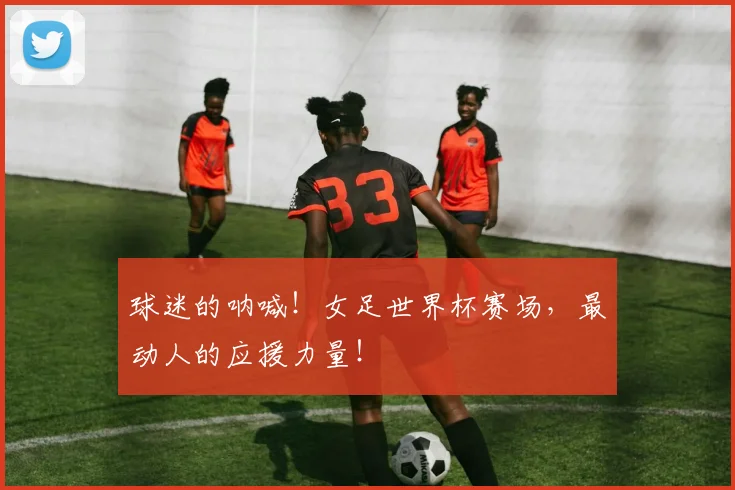球迷的呐喊!女足世界杯赛场,最动人的应援力量!